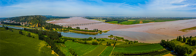 1658333039551.jpg 2.jpg