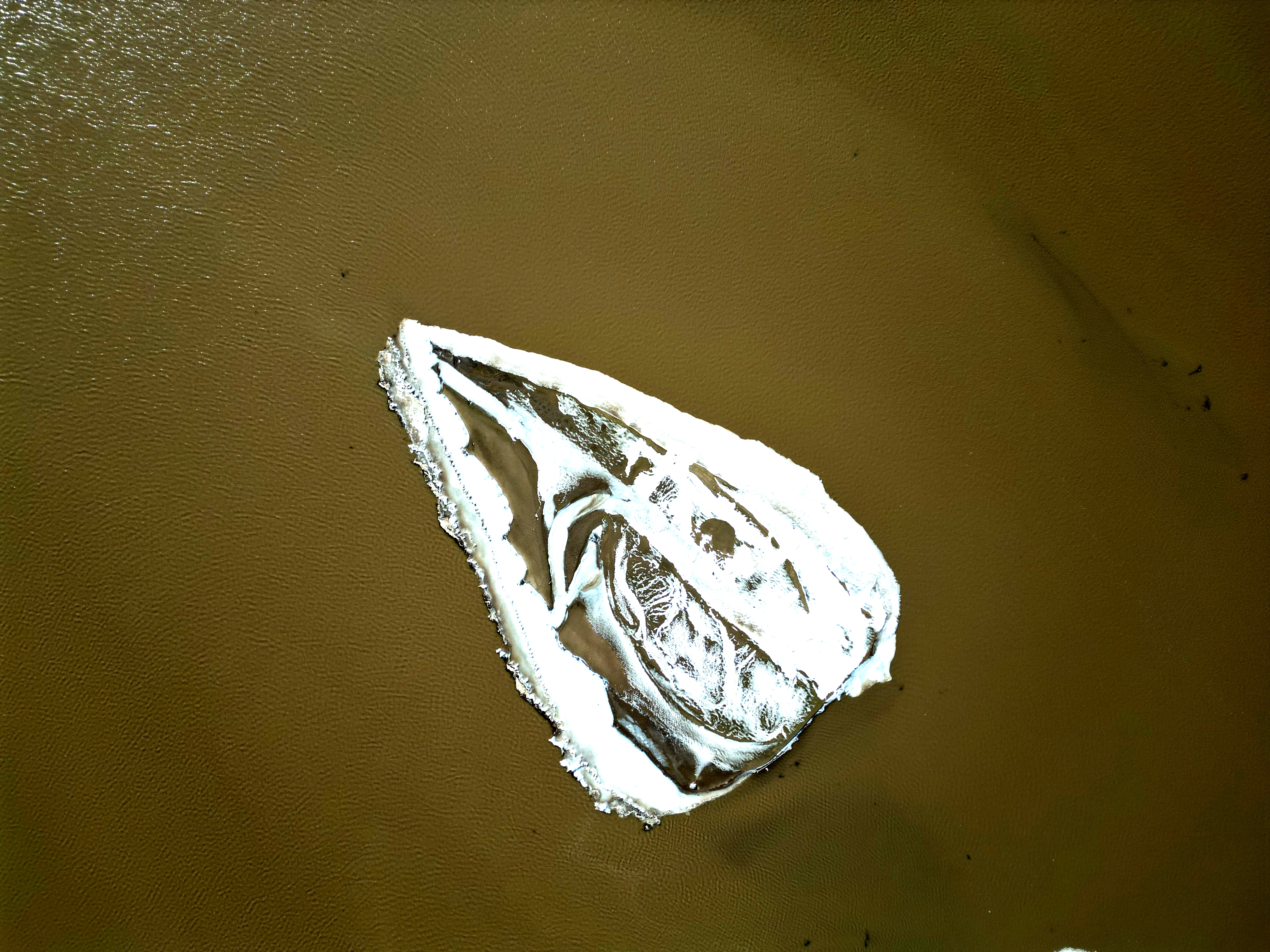 1708907448978.jpg