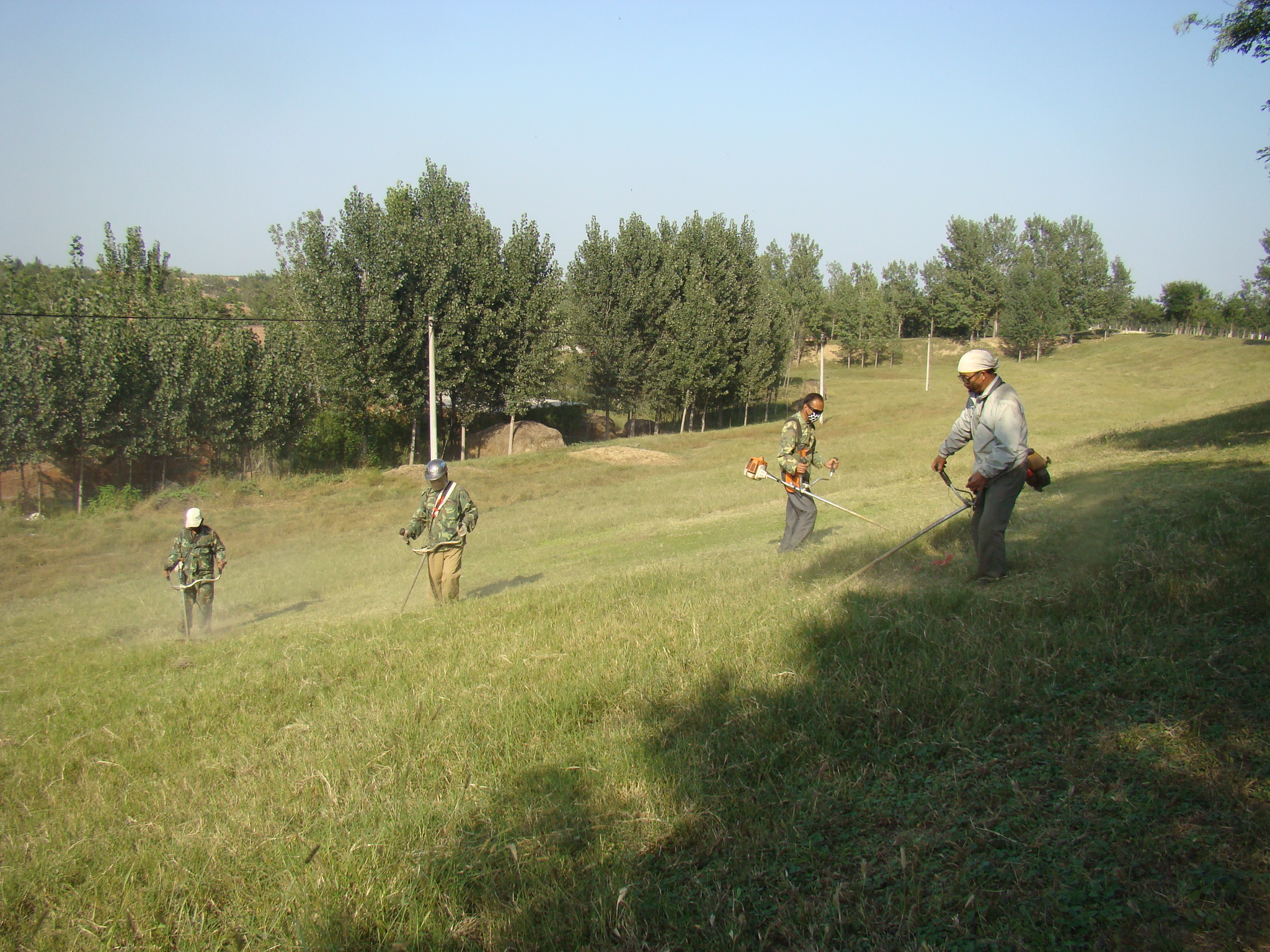 1728382450619.jpg 1728382450619.jpg