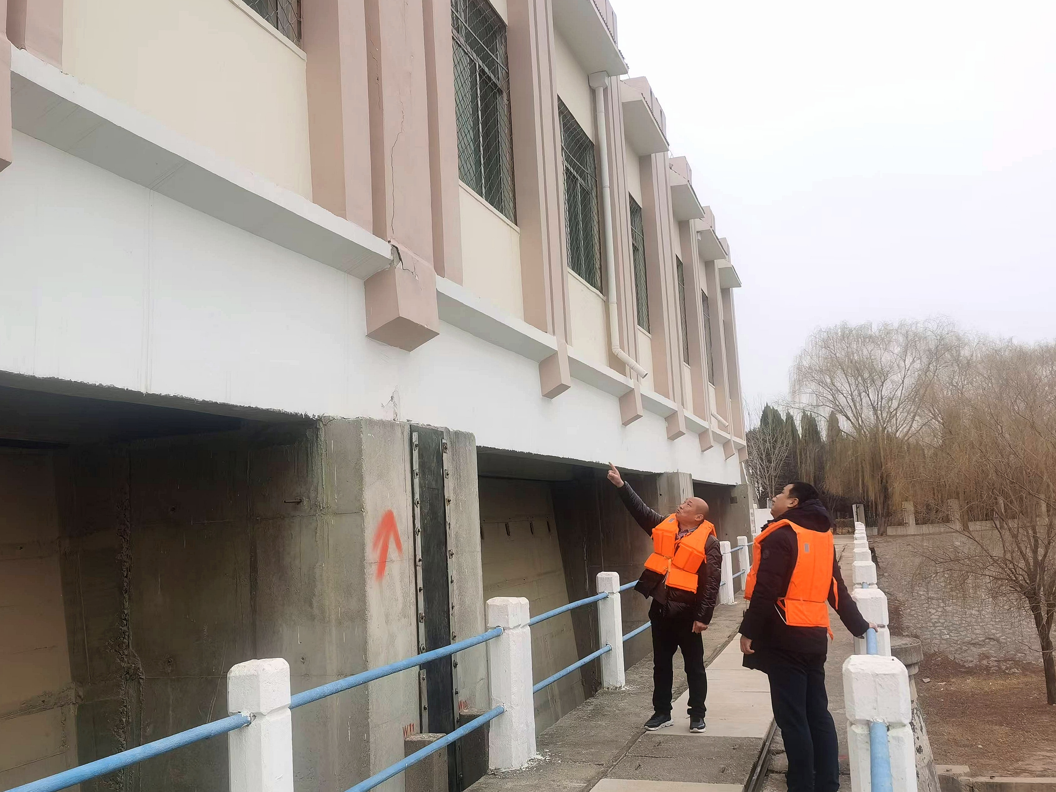 1740392481733.jpg 1740392481733.jpg