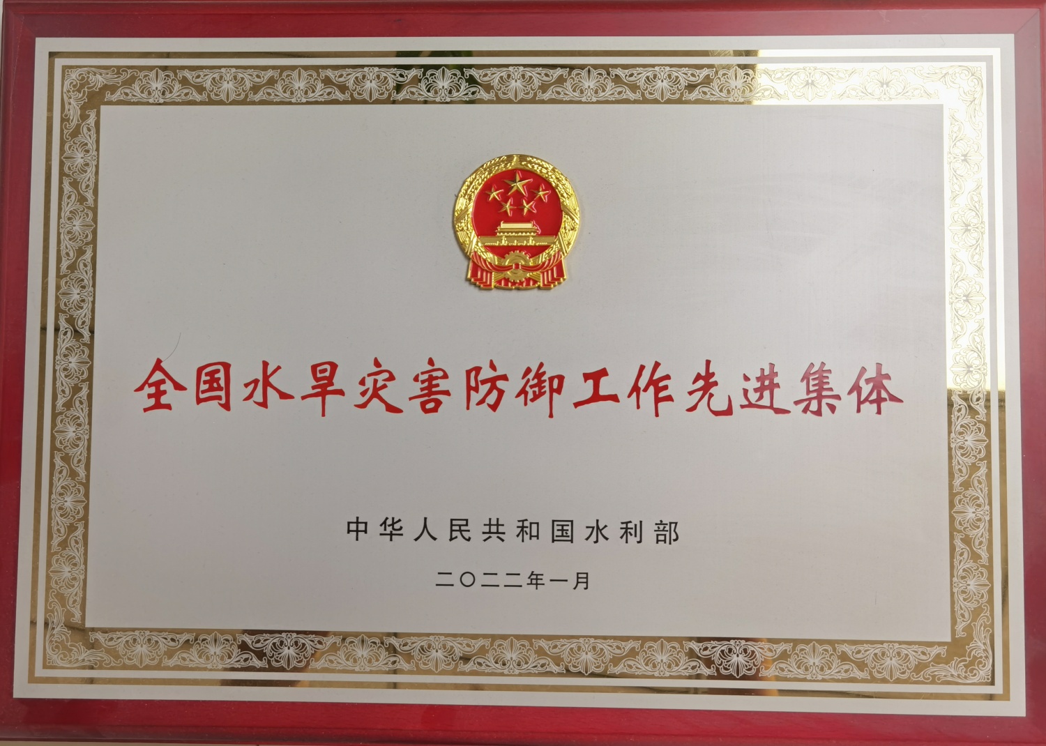 1748076917541.jpg