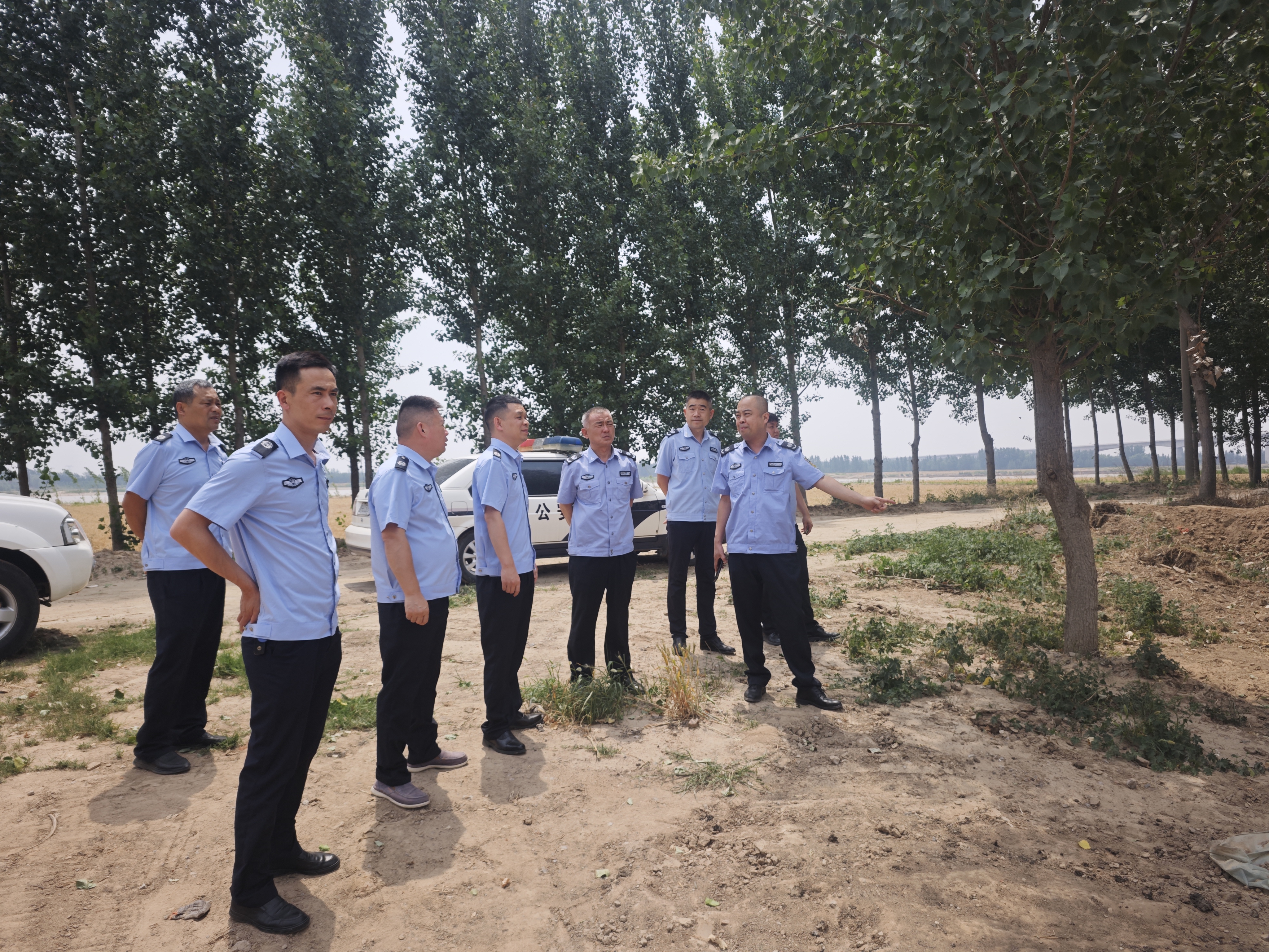 1765533385076.jpg 1765533385076.jpg