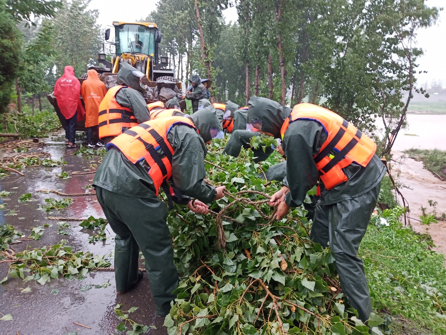 1765982594723.jpg 1765982594723.jpg