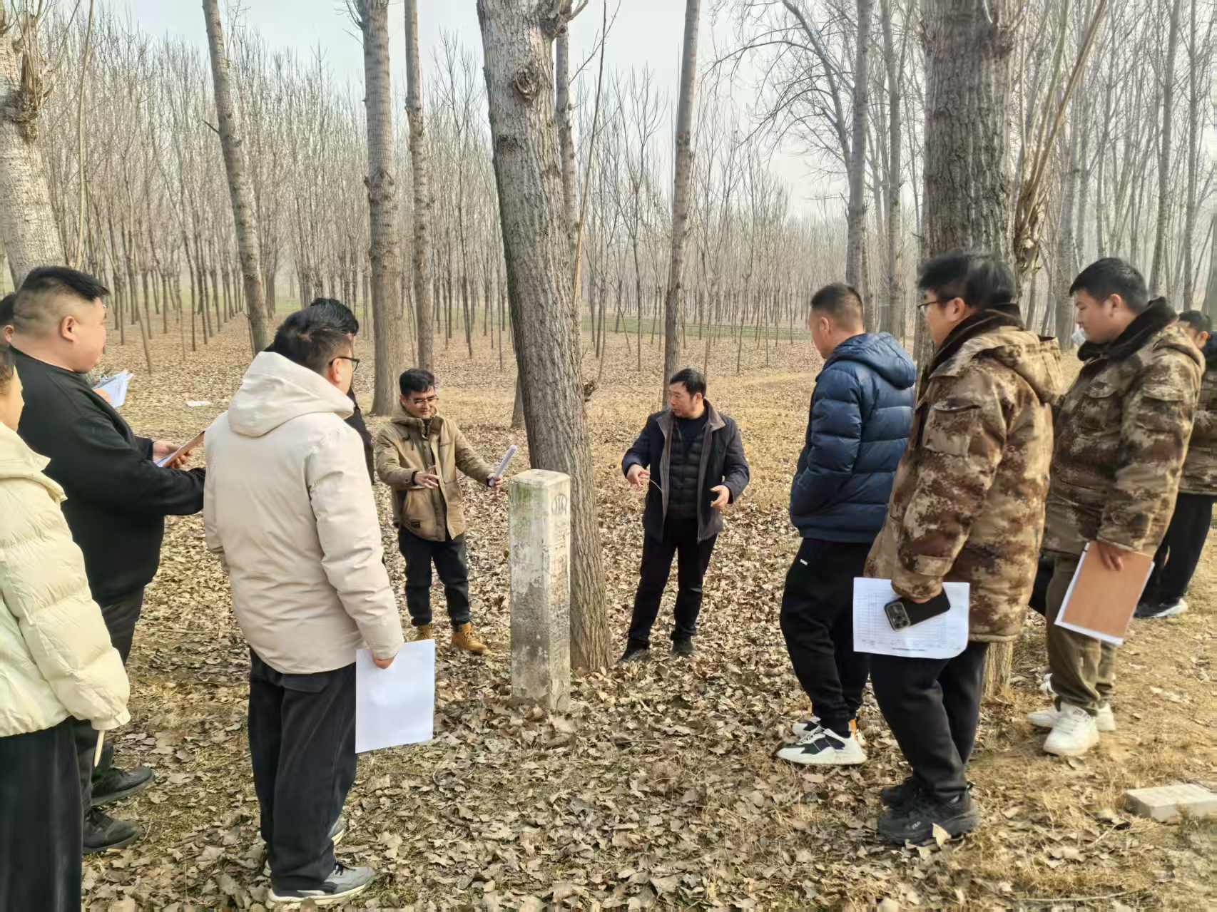 1767176858642.jpg 1767176858642.jpg