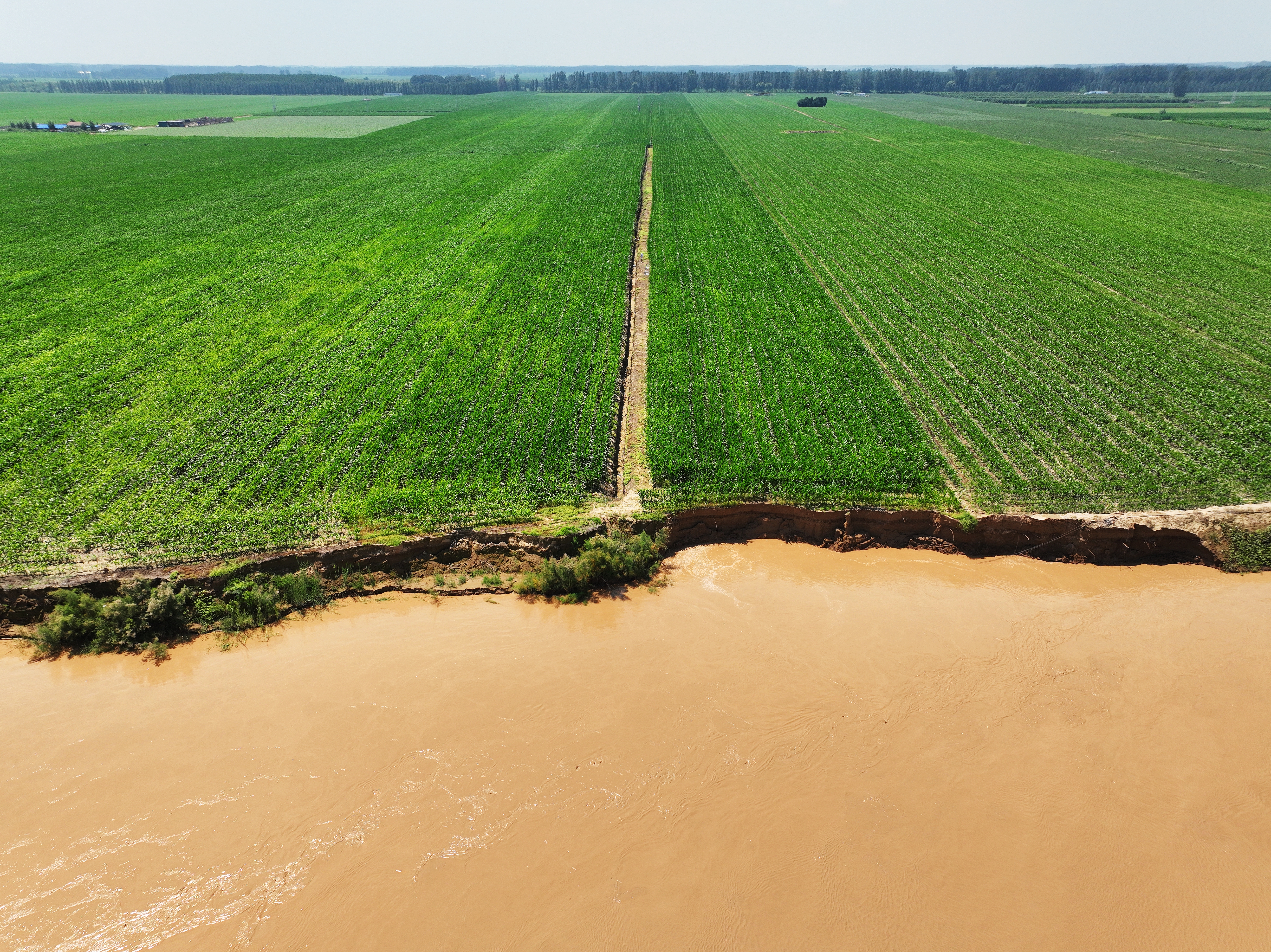 1767608138966.jpg 1767608138966.jpg