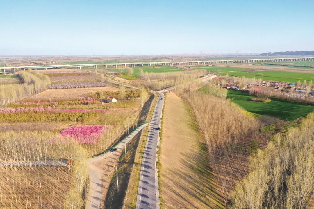 1767609269371.png 1767609269371.png