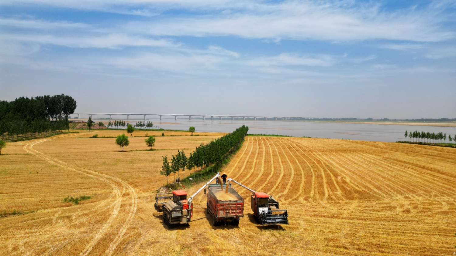 1767610381048.jpg 1767610381048.jpg