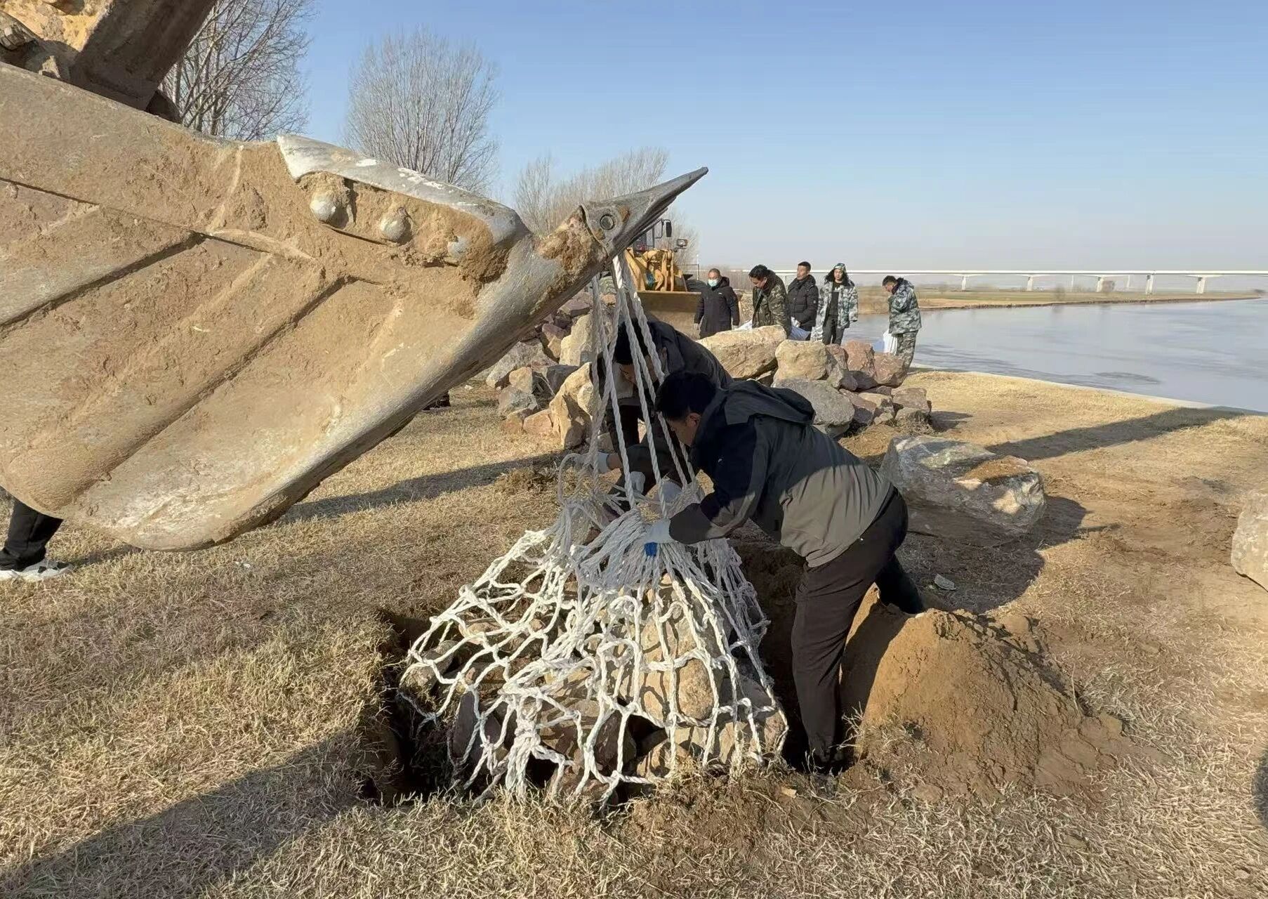 1768228014958.jpg 1768228014958.jpg