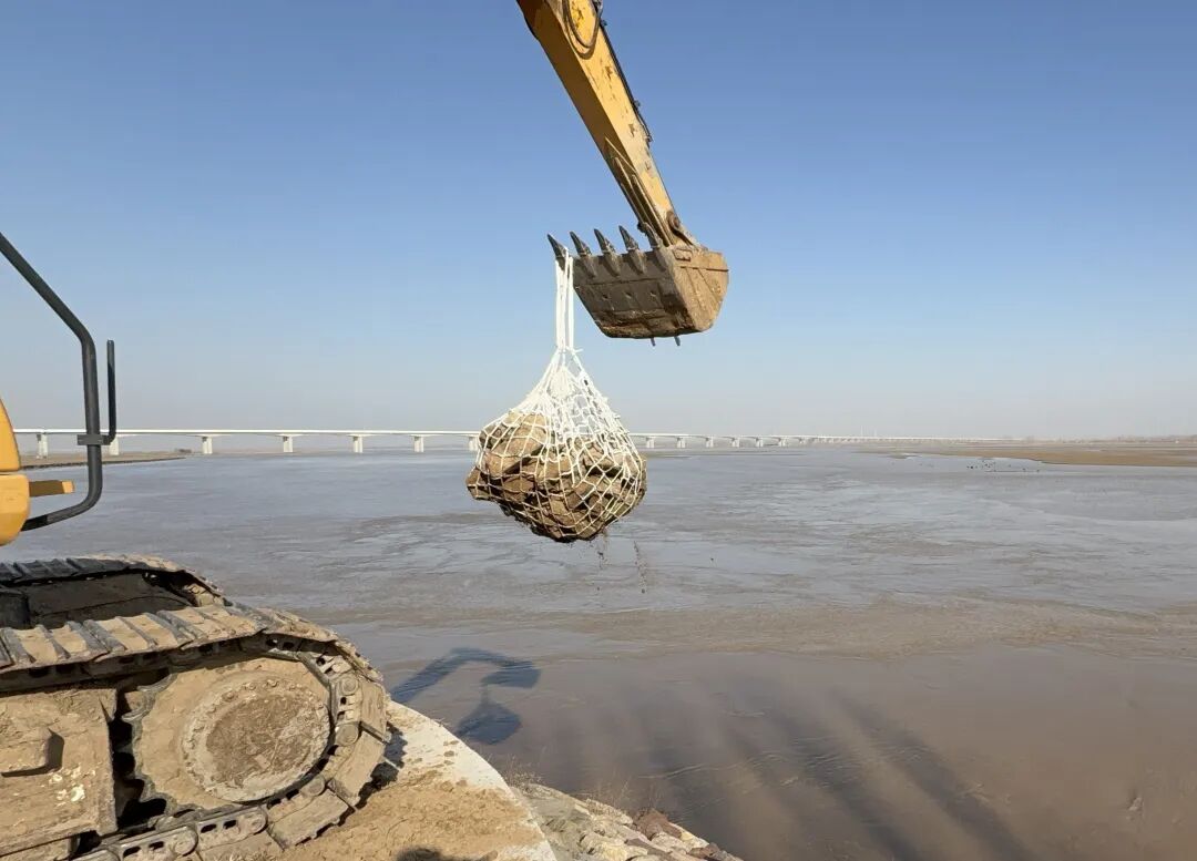 1768228029903.jpg 1768228029903.jpg