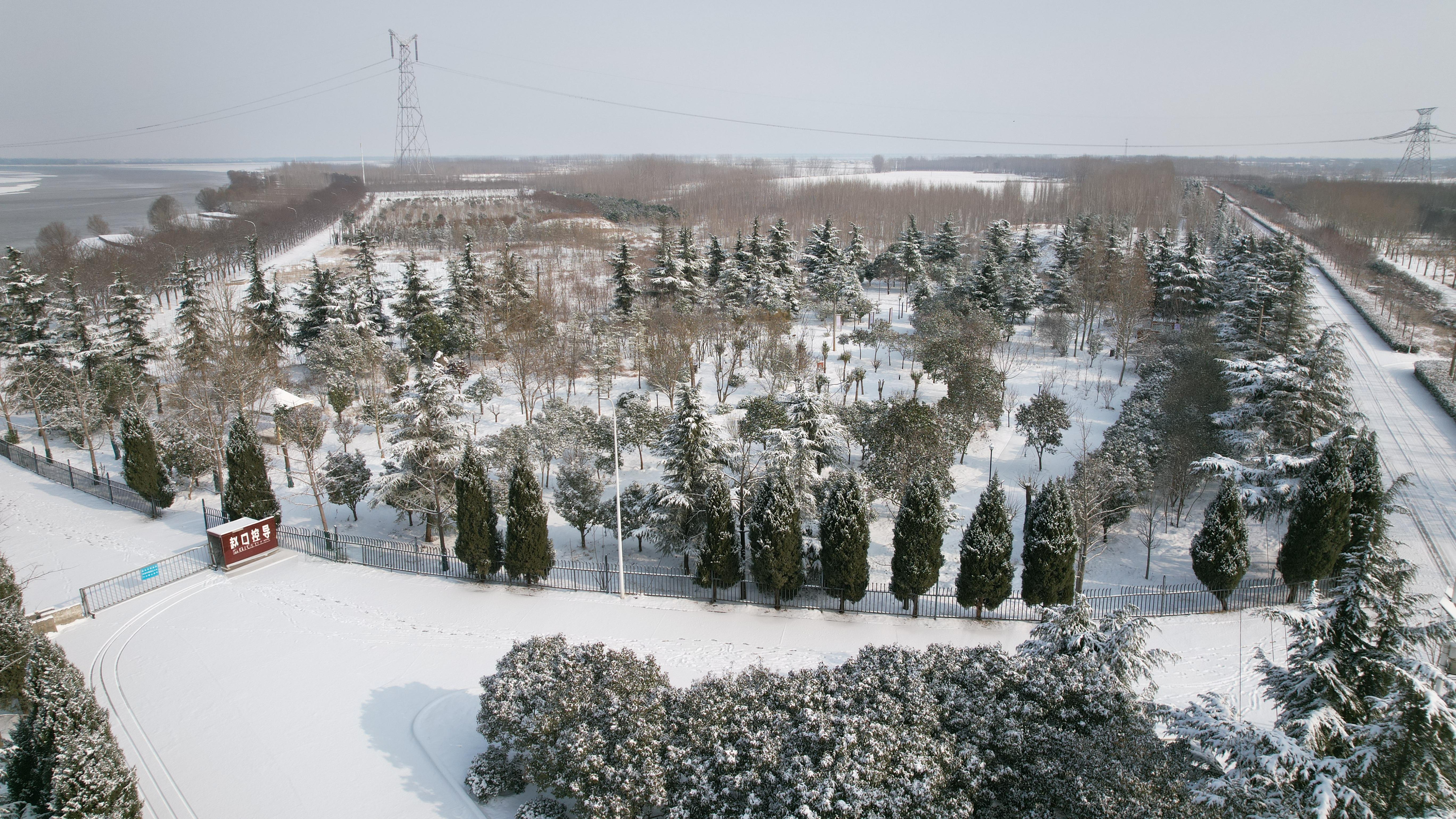 1768989615247.jpg 1768989615247.jpg