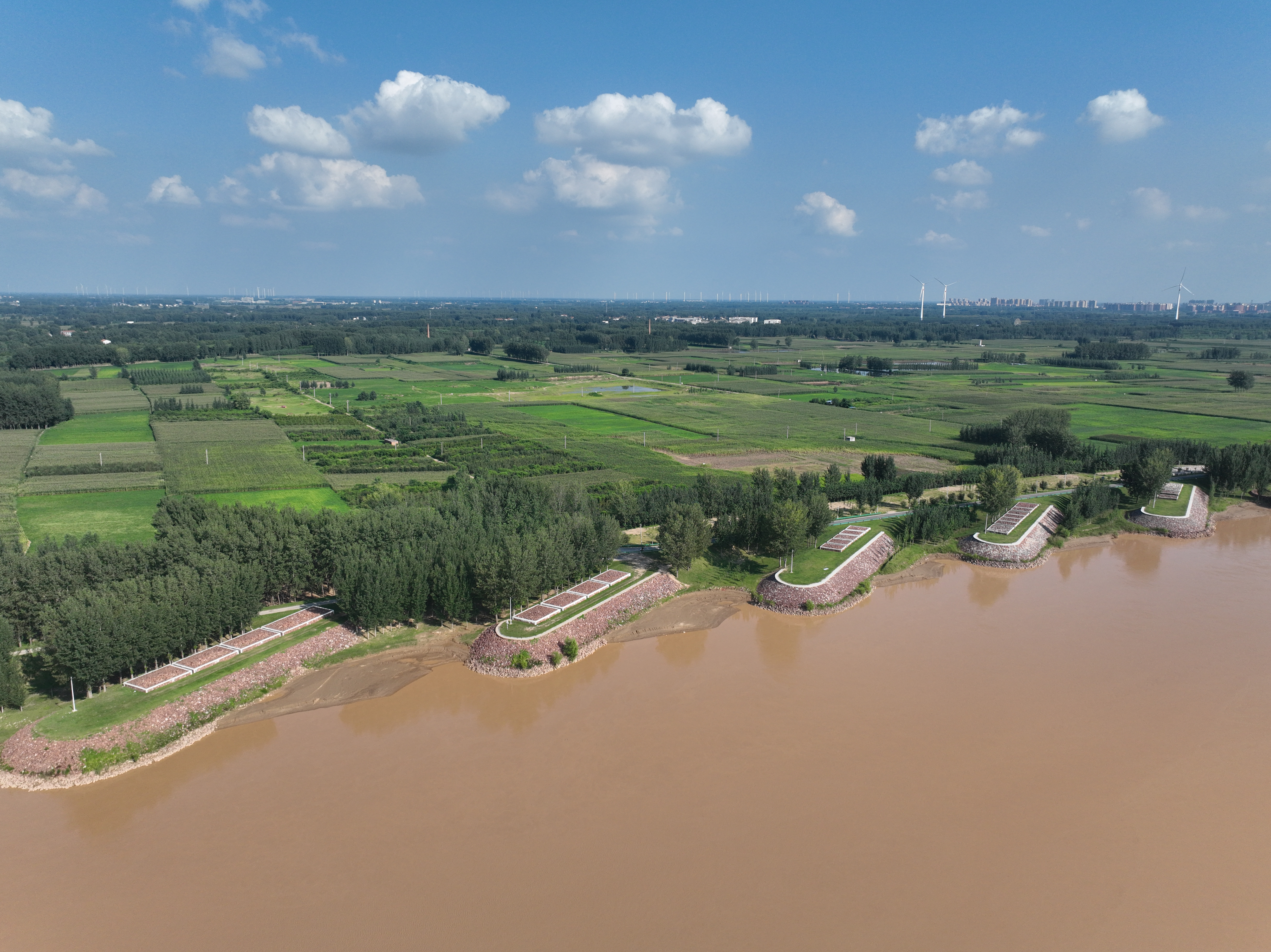 1770109247519.png 1770109247519.png