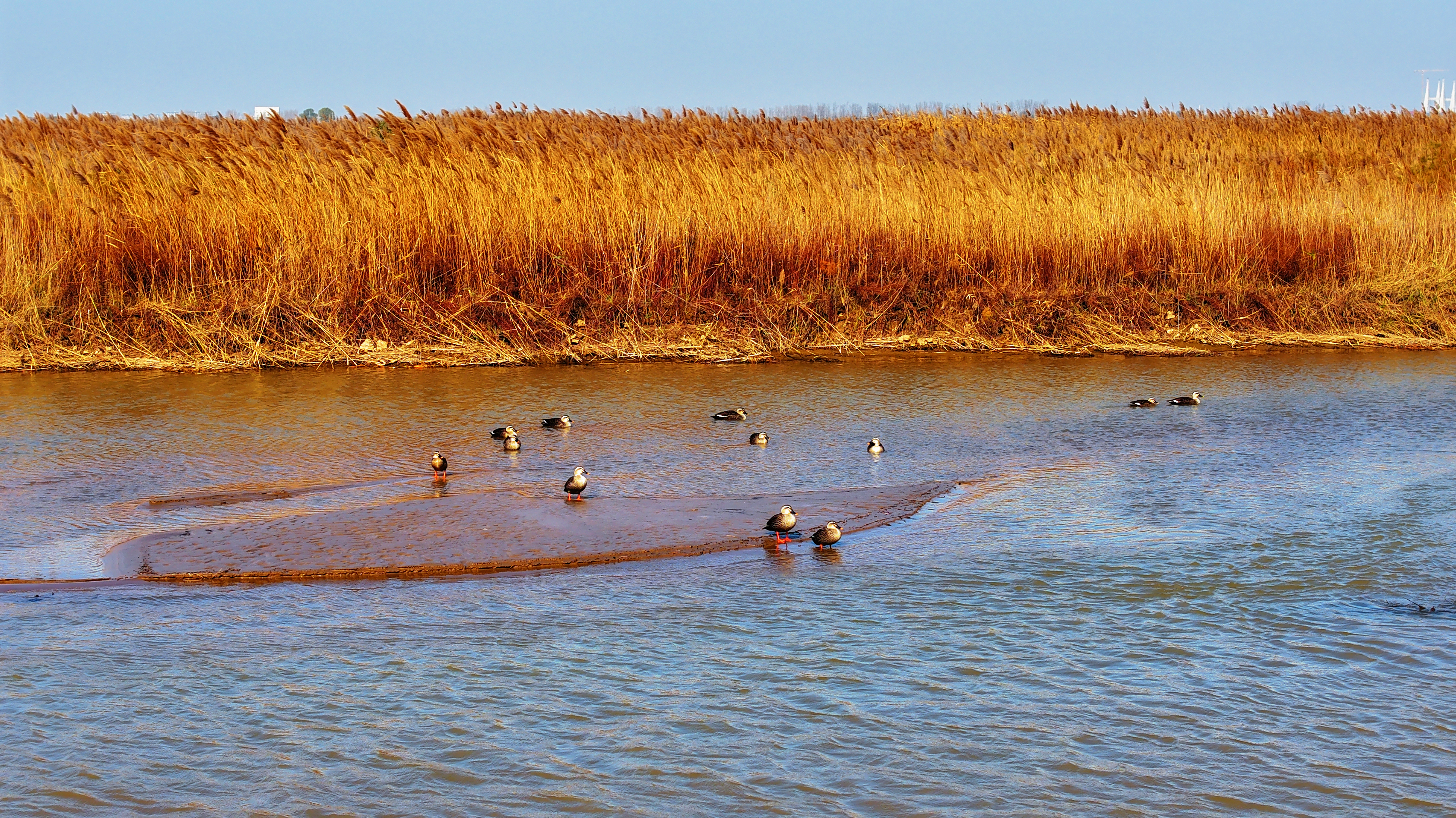 1770796967141.jpg 1770796967141.jpg