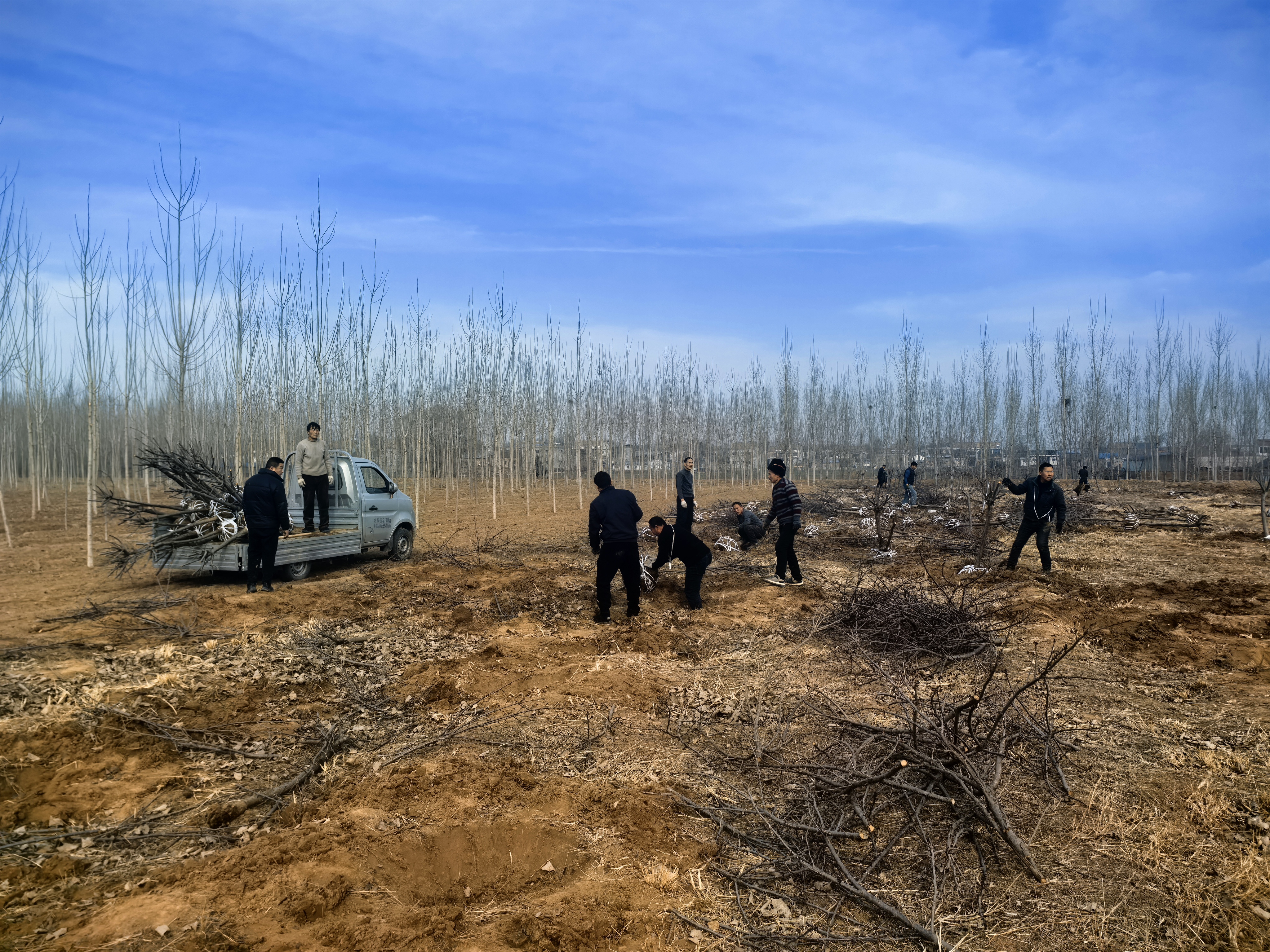 1772095337516.jpg 1772095337516.jpg