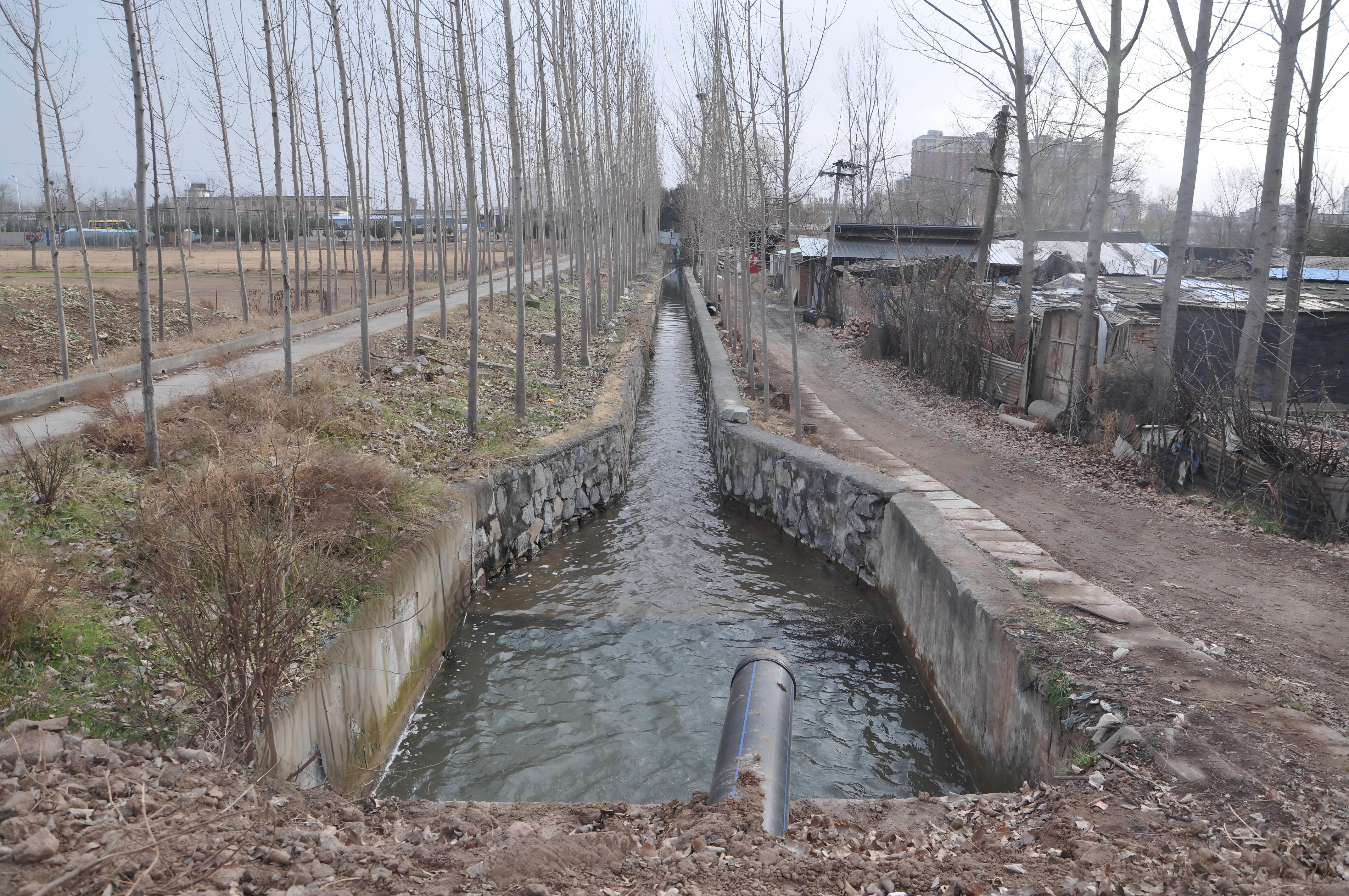 1772101466156.jpg 1772101466156.jpg