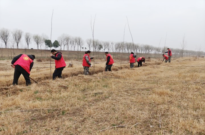 1772464244184.png 54d0075fa42a4267b59f23574c2eae32_副本.png