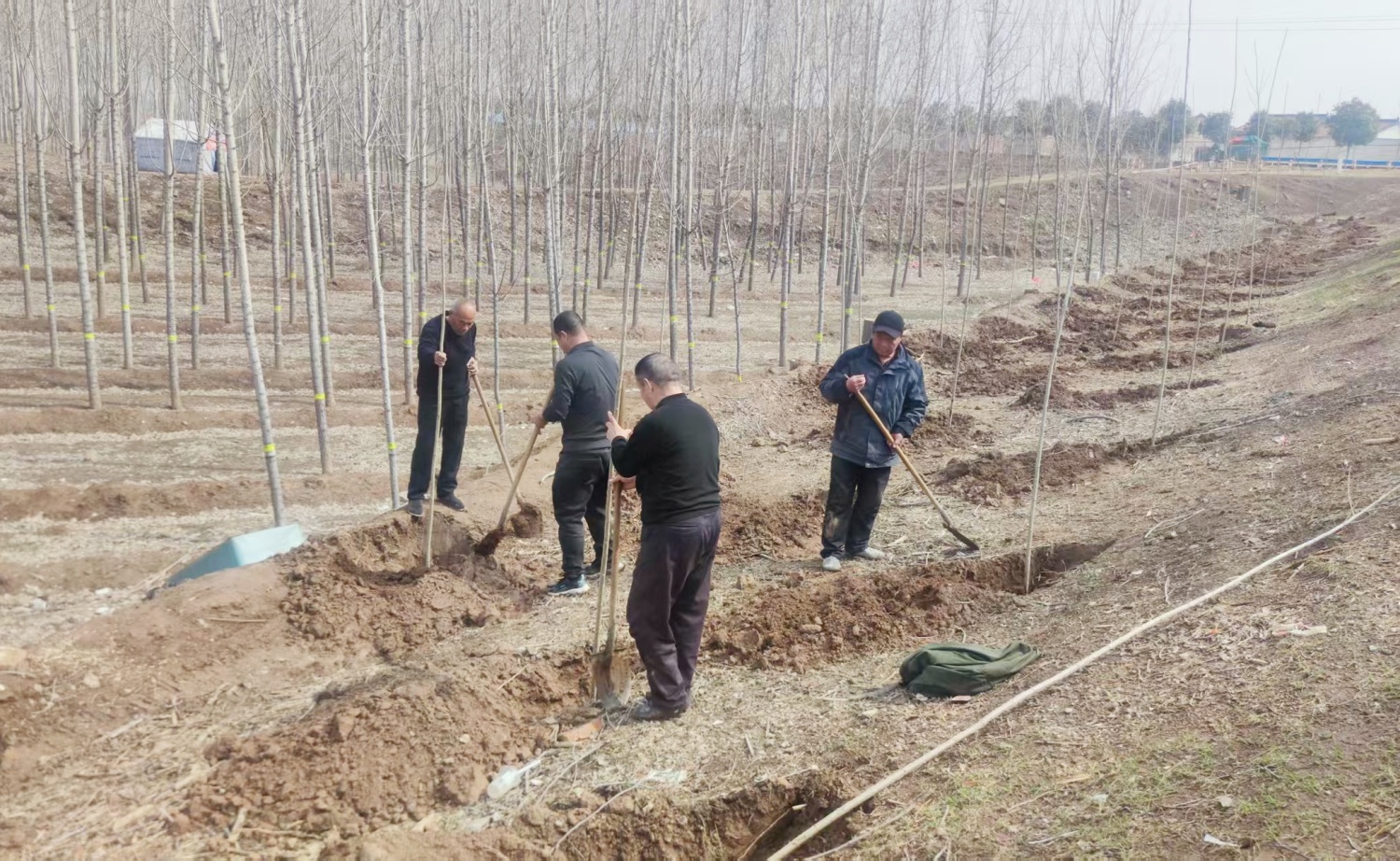 1773066266804.jpg 1773066266804.jpg