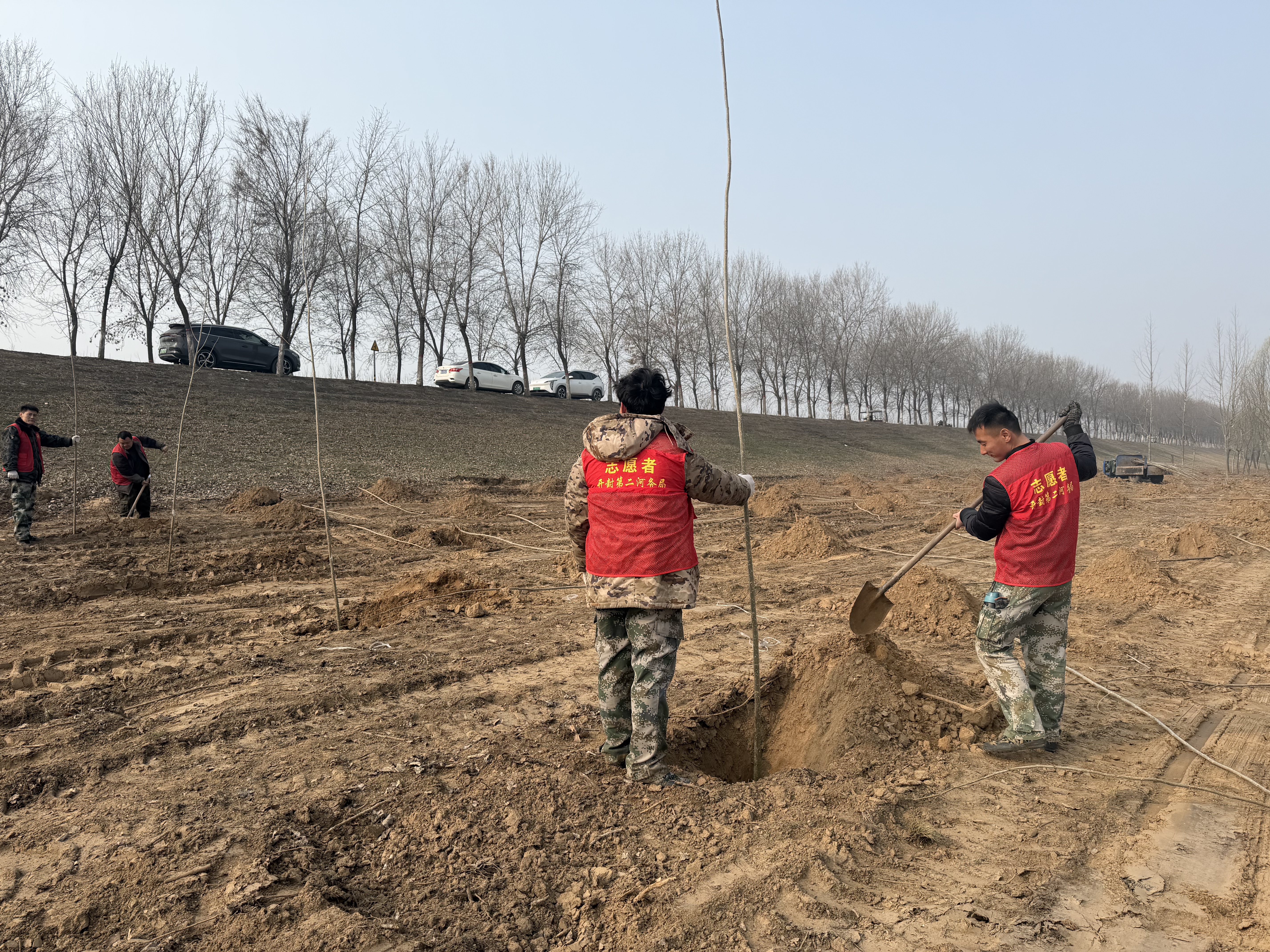 1773393382658.jpg 1773393382658.jpg