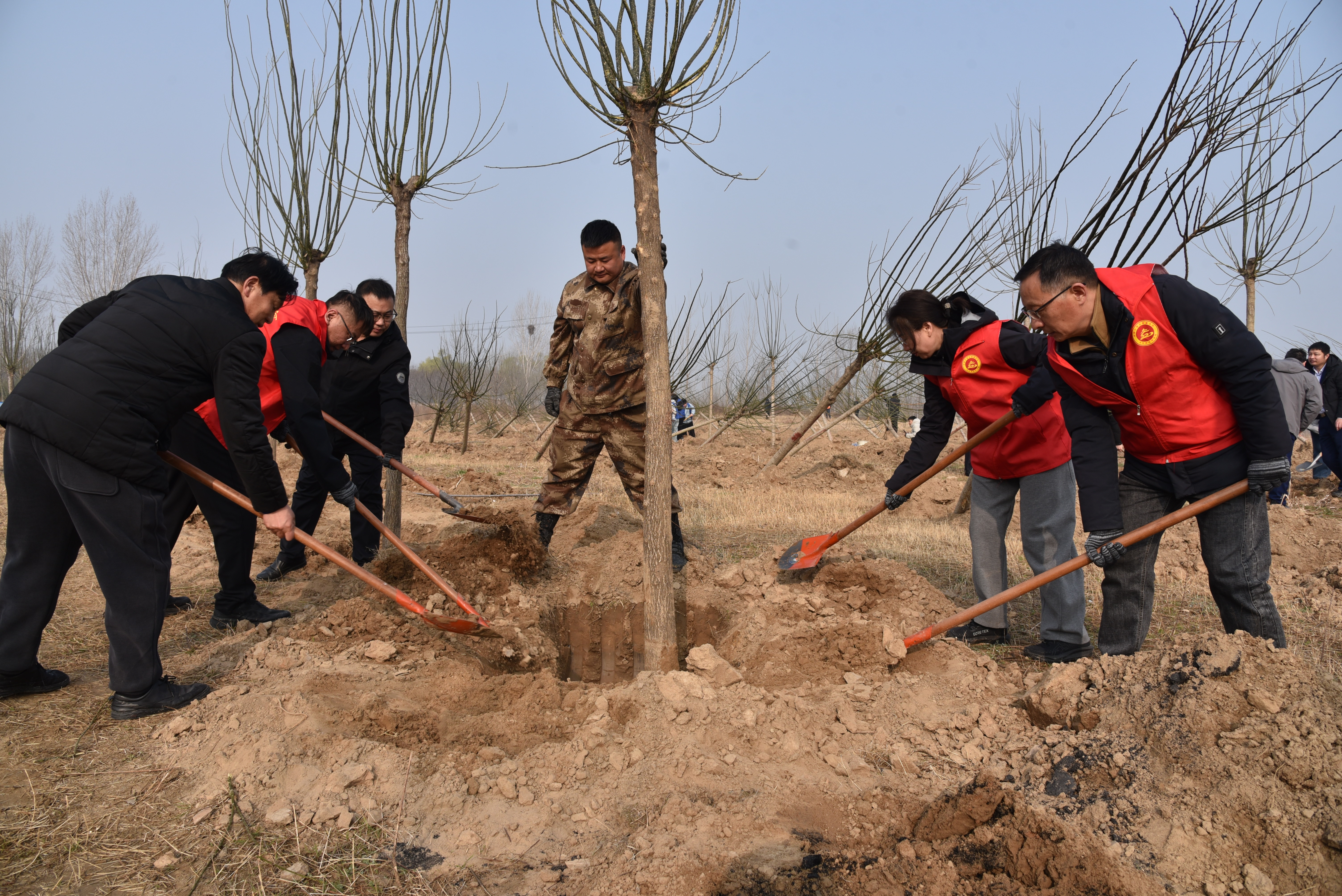 1773393926497.jpg 1773393926497.jpg