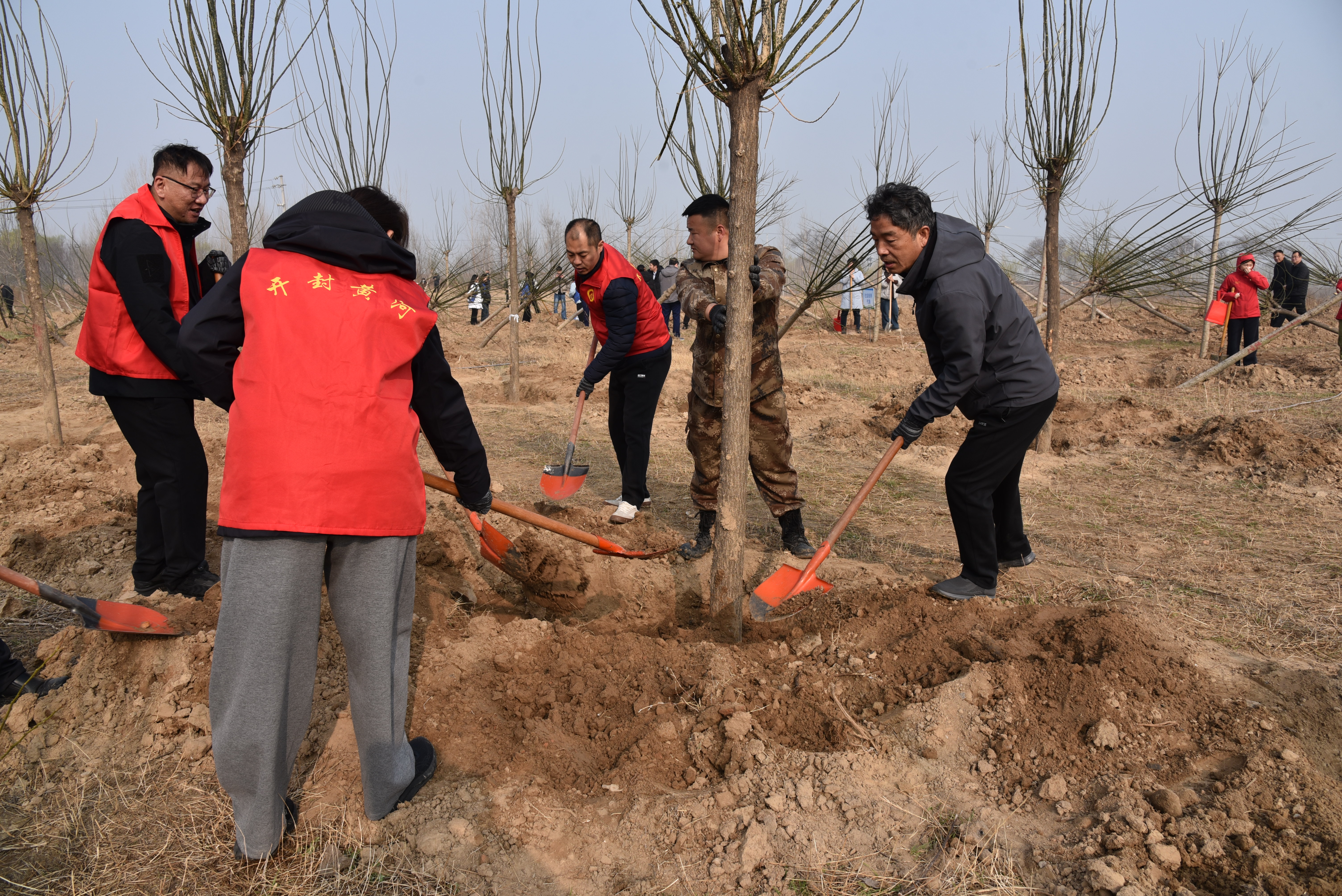 1773393947643.jpg 1773393947643.jpg