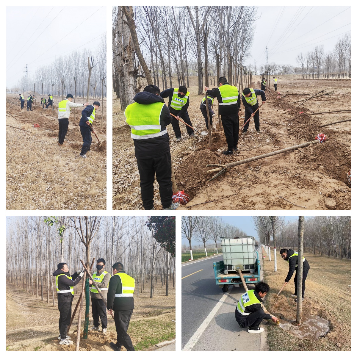 1773397083614.jpg 1773397083614.jpg