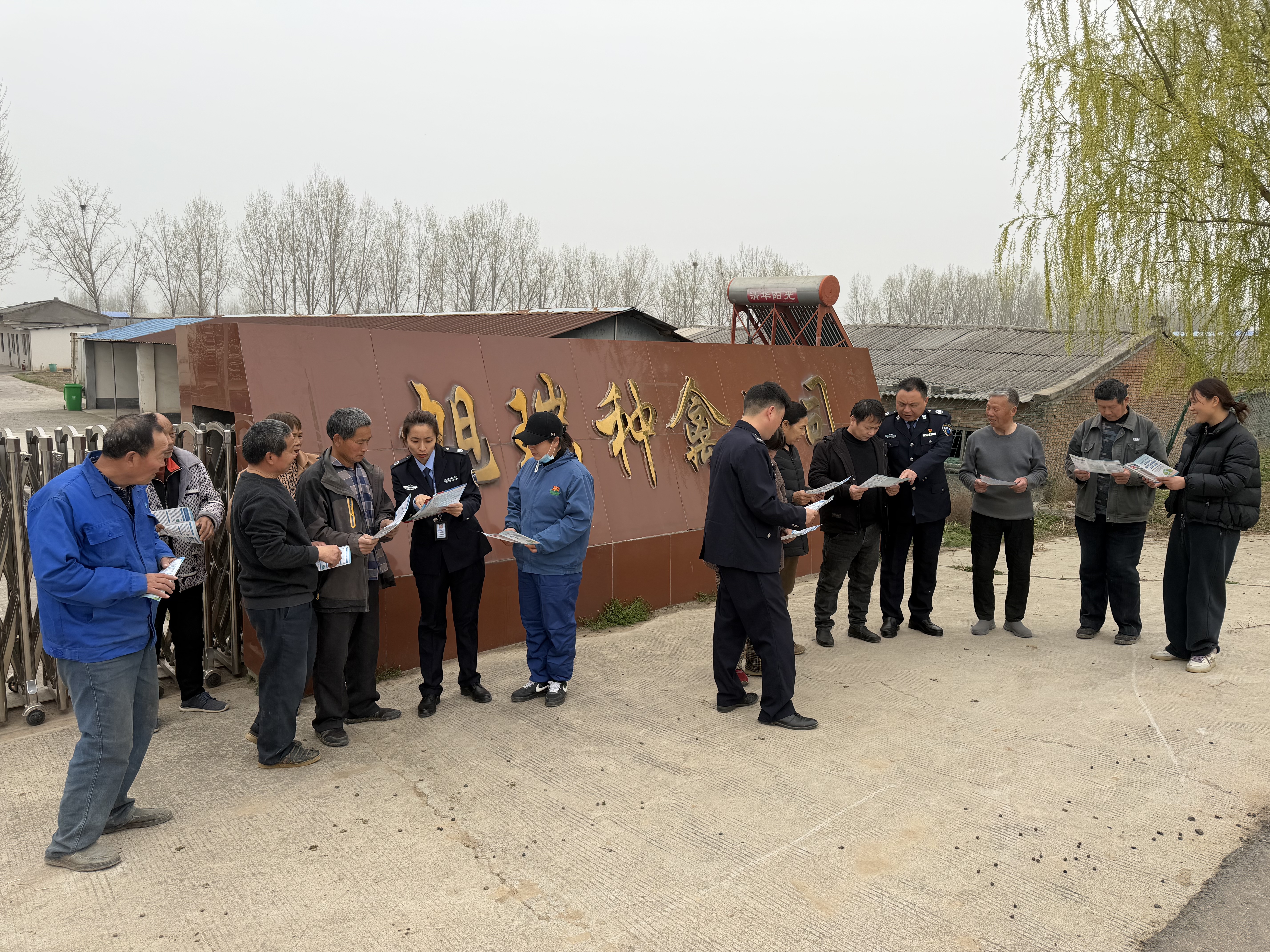 1774886362653.jpg 1774886362653.jpg