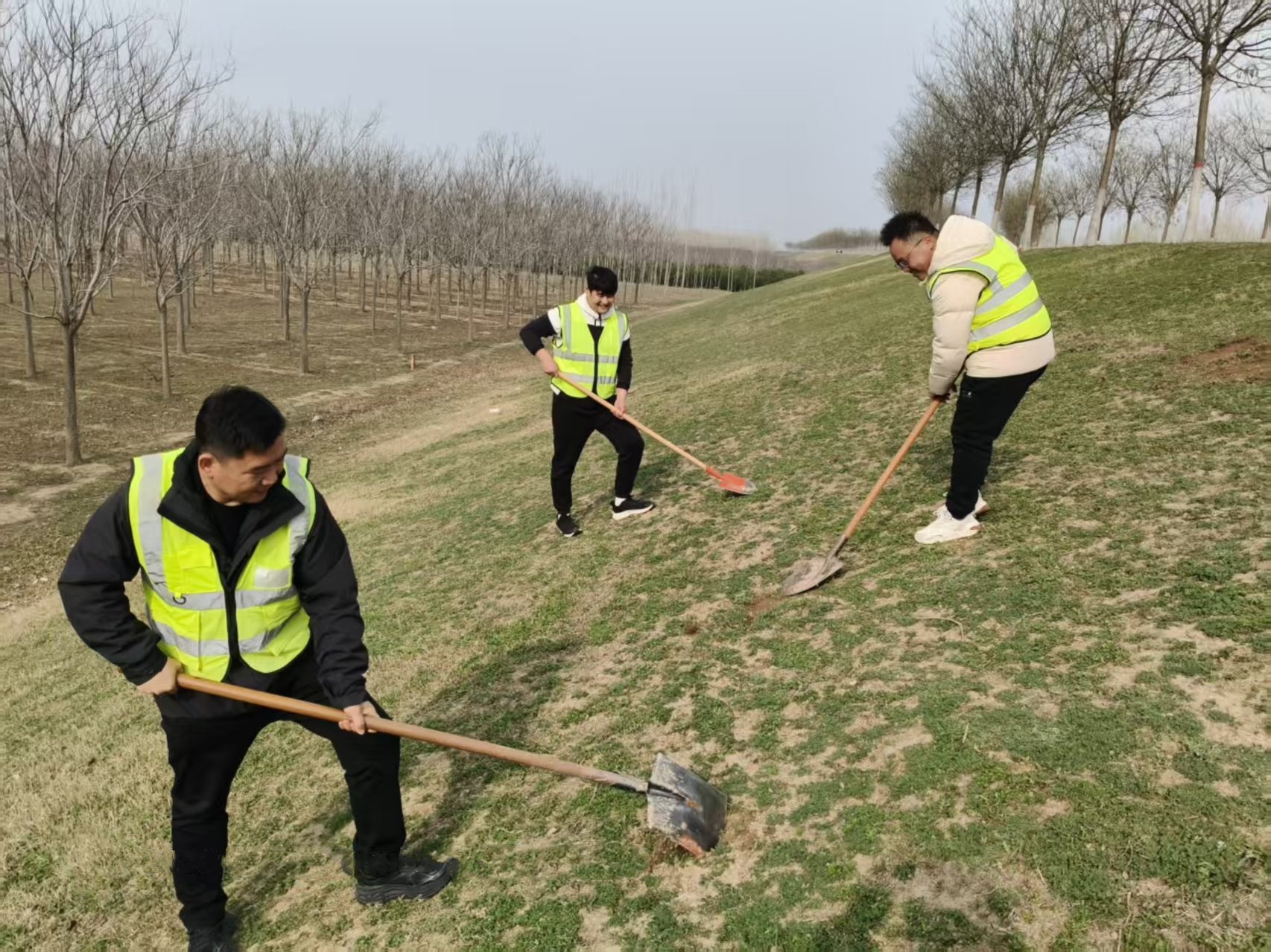 1774971406143.jpg 1774971406143.jpg