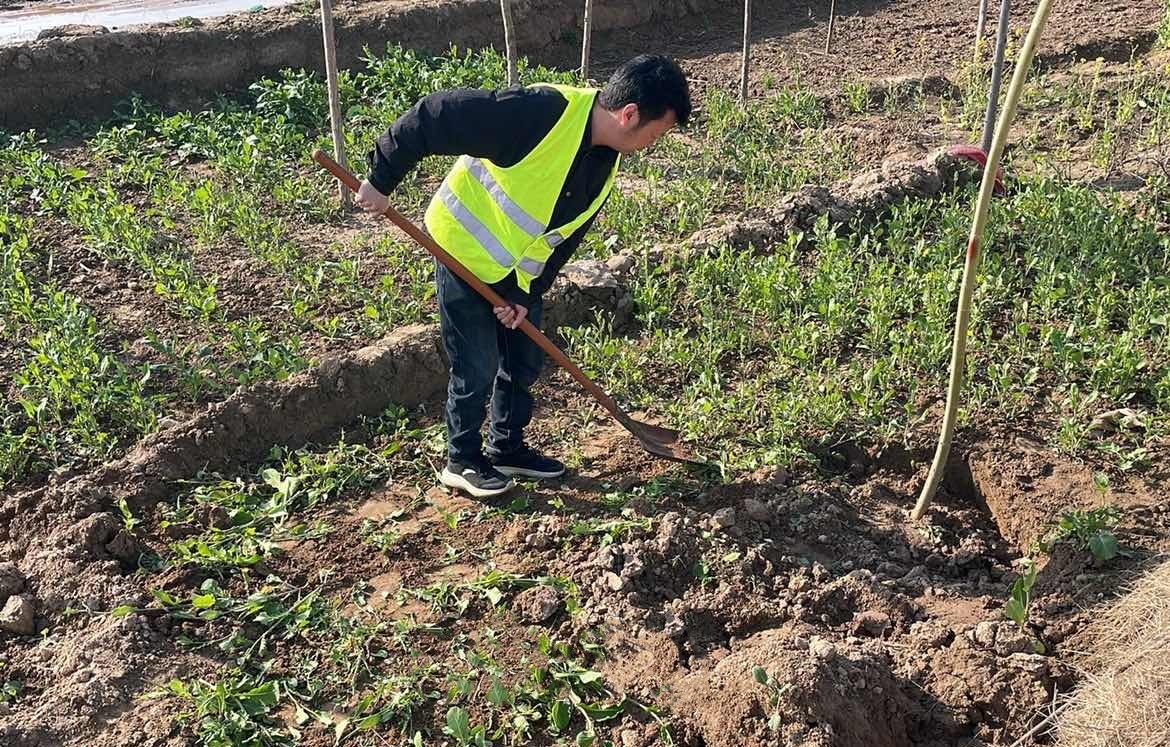 1774971494623.jpg 1774971494623.jpg