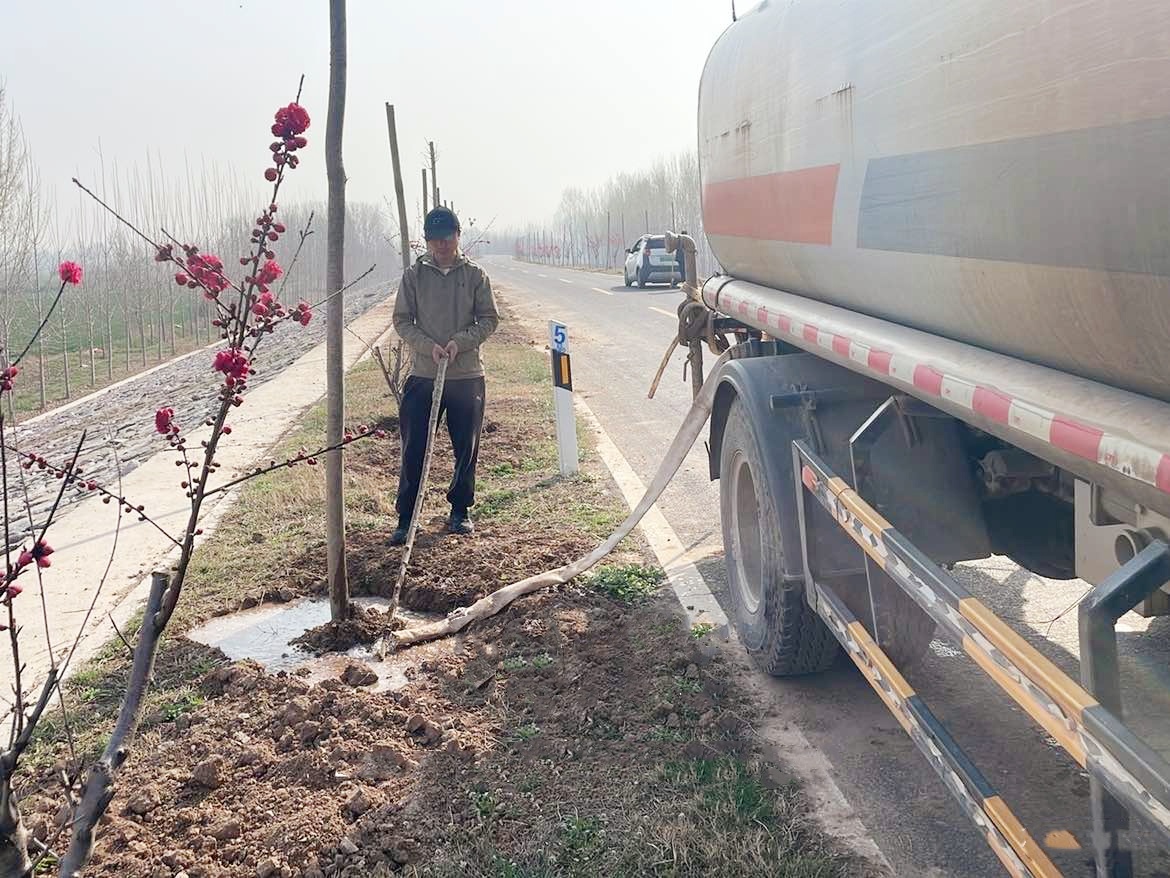 1774971726539.jpg 1774971726539.jpg