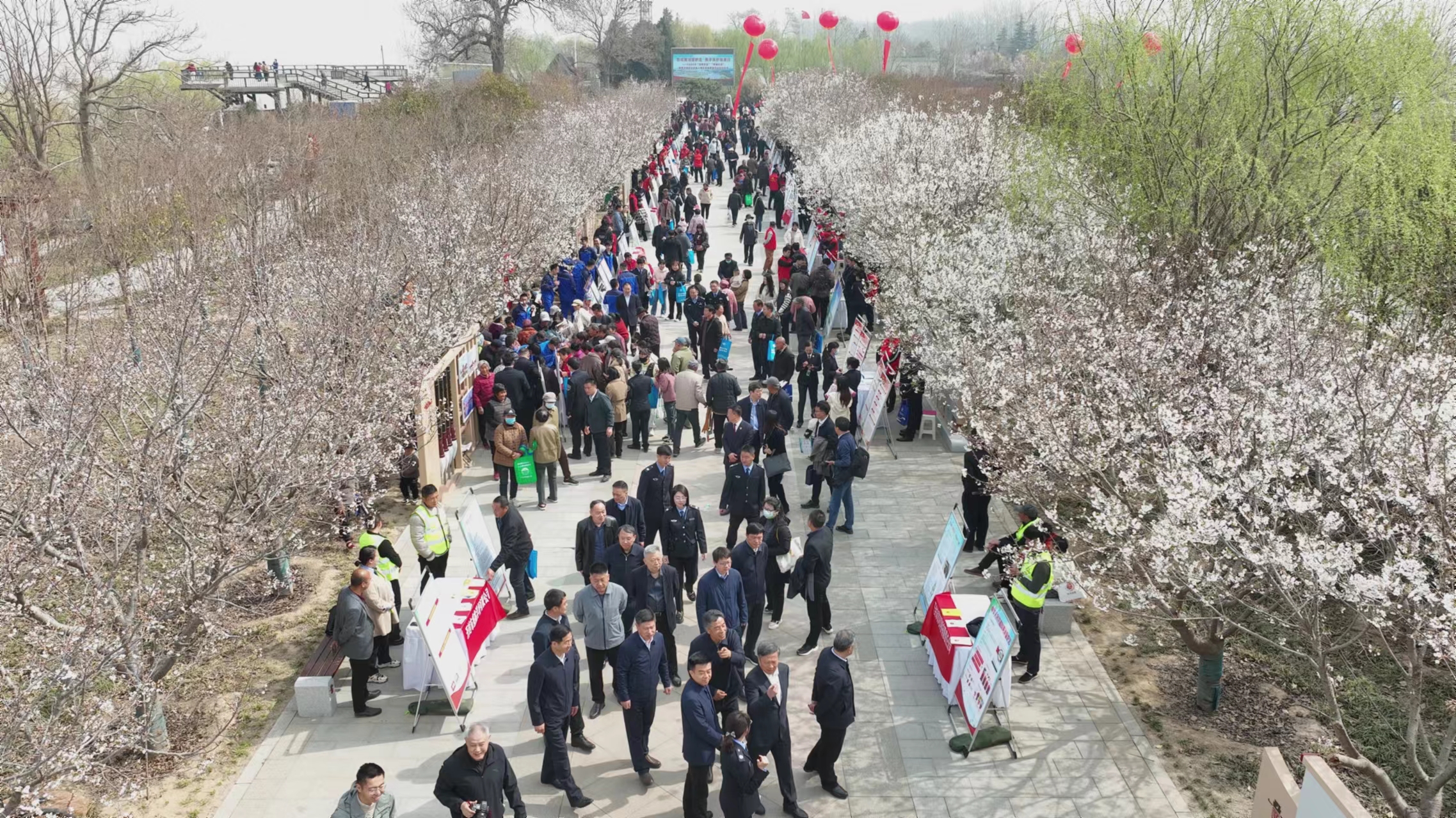 1775227276014.jpg 1775227276014.jpg