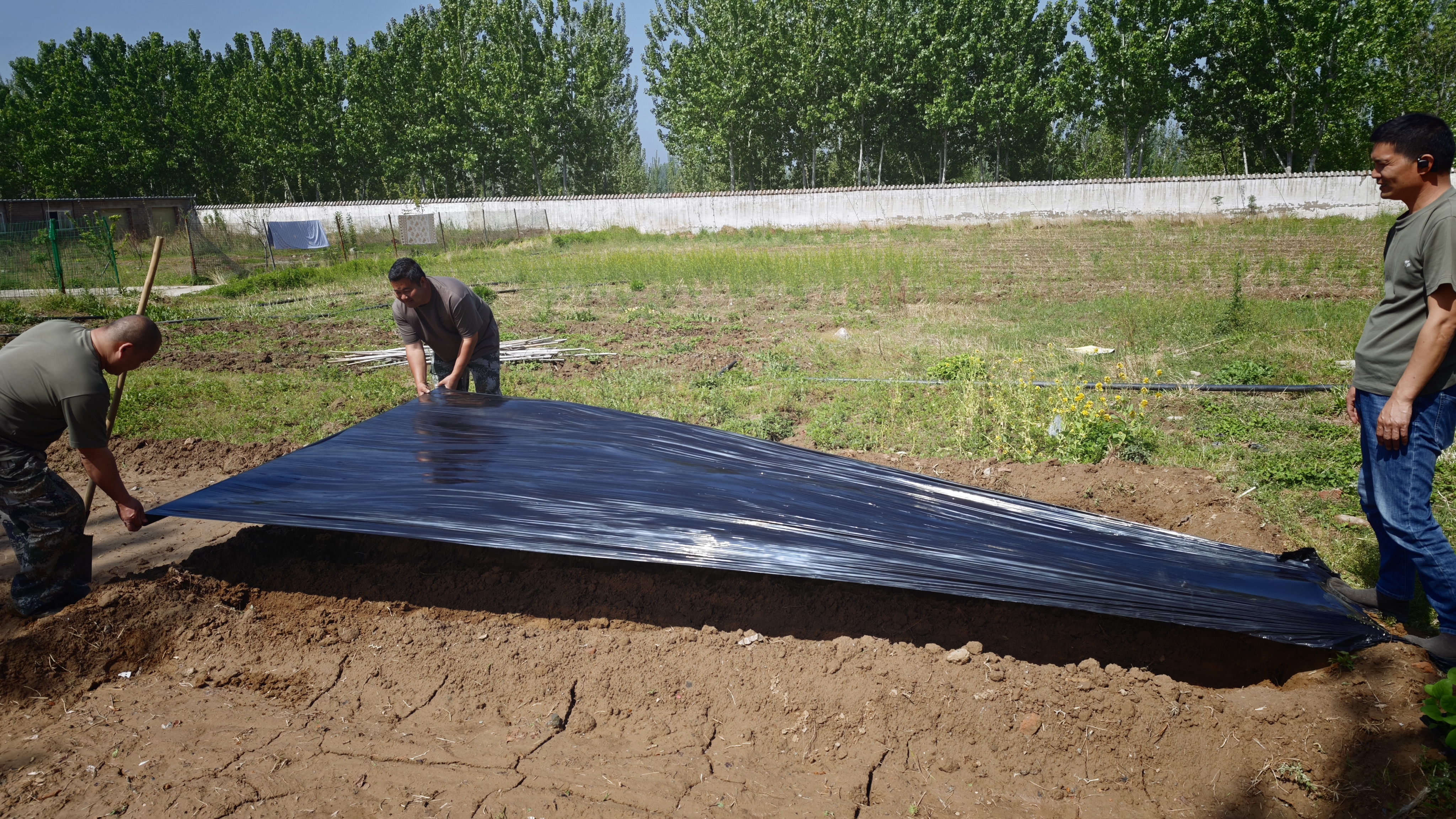 1776159986434.jpg 1776159986434.jpg