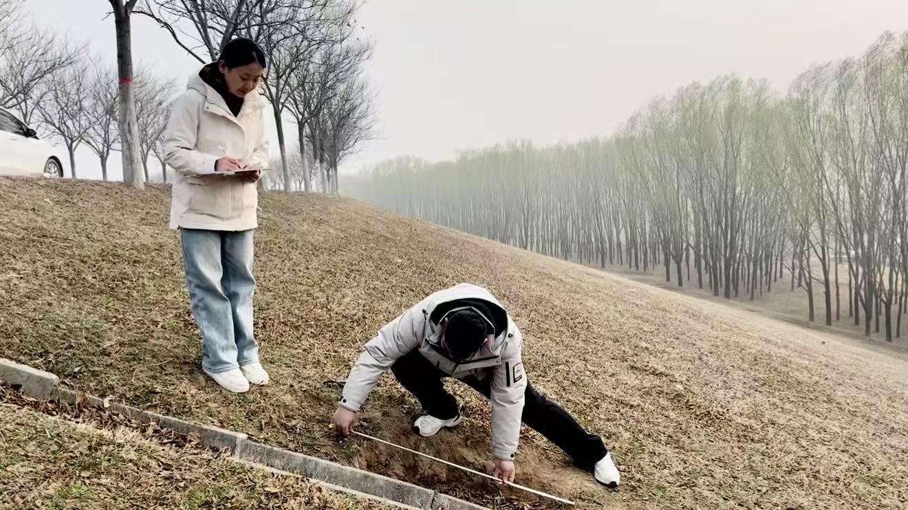 1776247150865.jpg 1776247150865.jpg