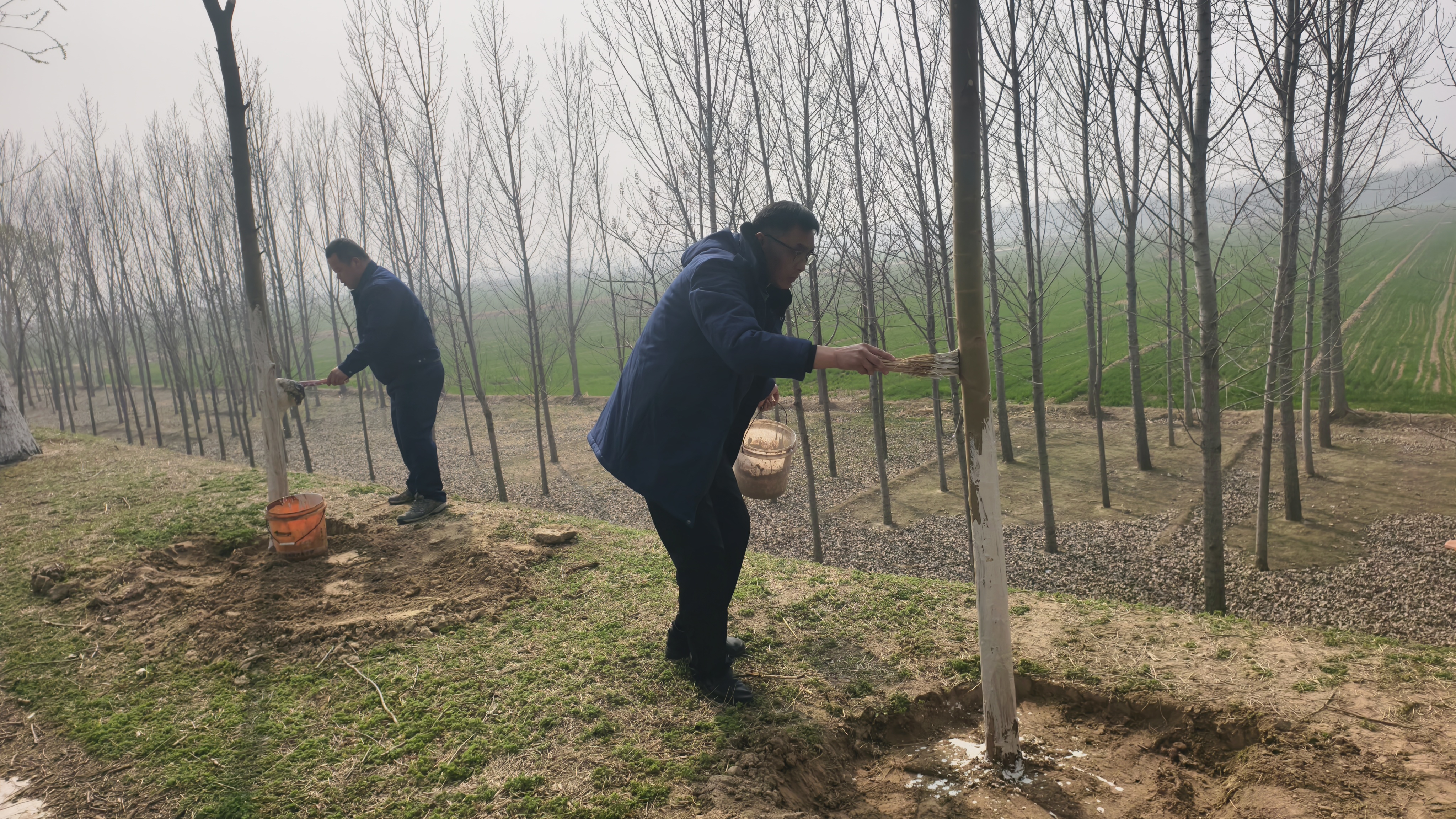 1776247184975.jpg 1776247184975.jpg