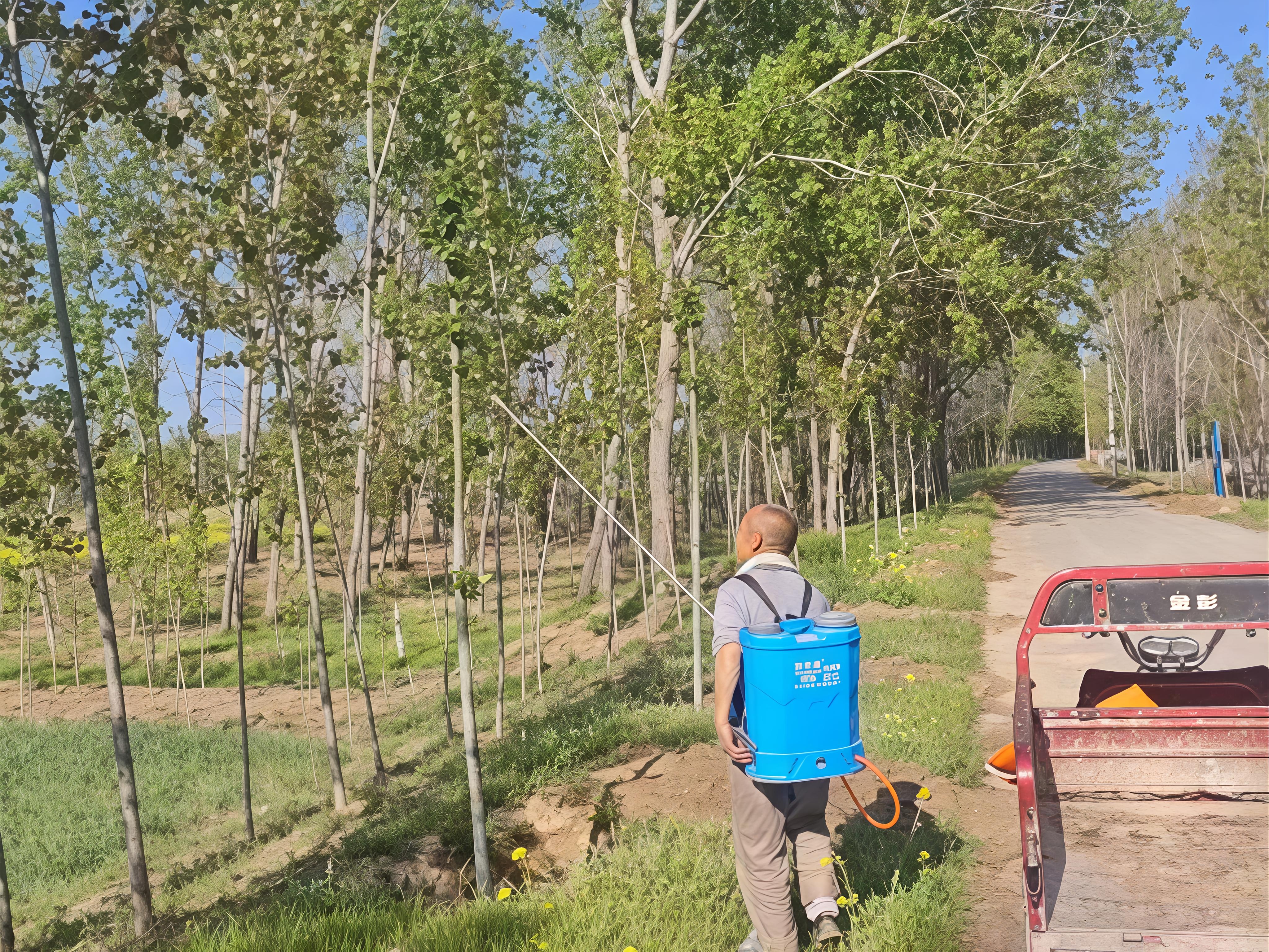 1776247206080.jpg 1776247206080.jpg